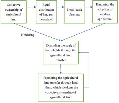 Relationship between rural land titling and land transfer in China: a systematic literature review and meta-analysis